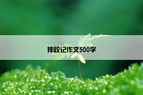 摔跤记作文500字