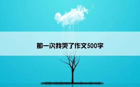 那一次我哭了作文500字