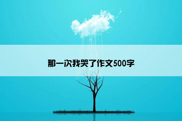 那一次我哭了作文500字