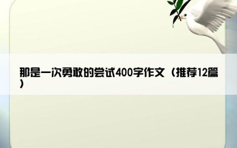那是一次勇敢的尝试400字作文（推荐12篇）