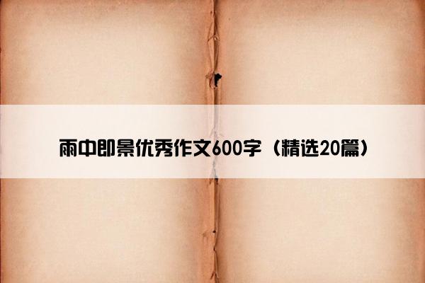 雨中即景优秀作文600字（精选20篇）