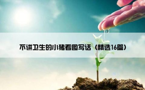 不讲卫生的小猪看图写话（精选16篇）