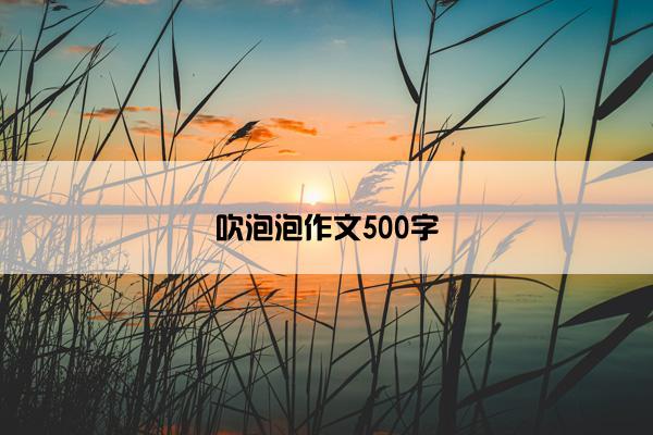 吹泡泡作文500字