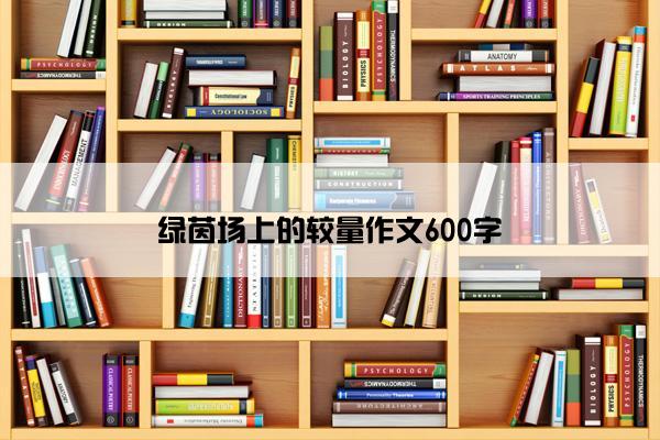 绿茵场上的较量作文600字