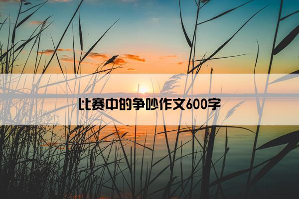 比赛中的争吵作文600字