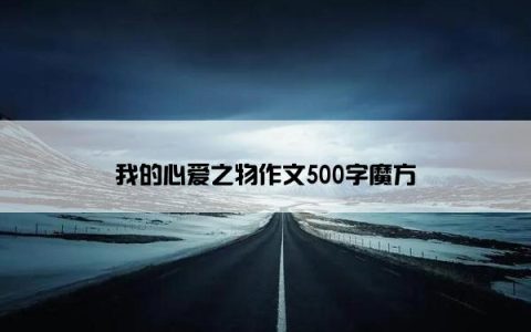 我的心爱之物作文500字魔方