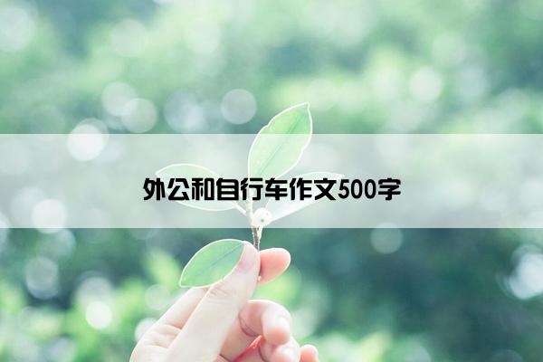 外公和自行车作文500字