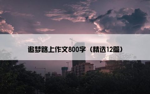 追梦路上作文800字（精选12篇）