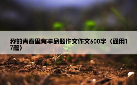 我的青春里有半命题作文作文600字（通用17篇）