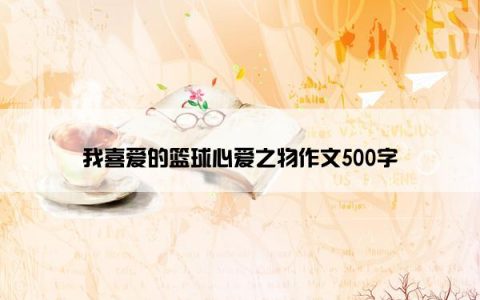 我喜爱的篮球心爱之物作文500字