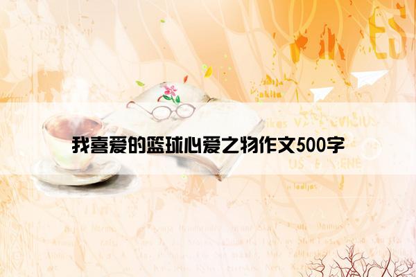 我喜爱的篮球心爱之物作文500字