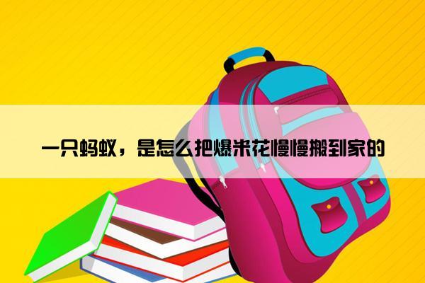 一只蚂蚁，是怎么把爆米花慢慢搬到家的