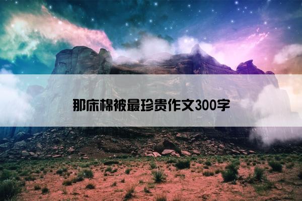 那床棉被最珍贵作文300字