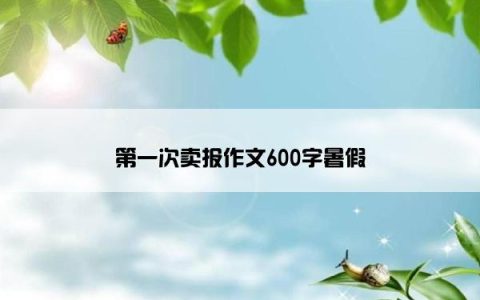 第一次卖报作文600字暑假
