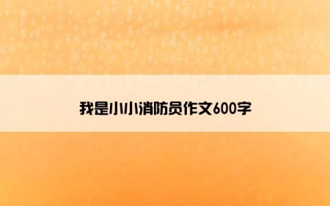 我是小小消防员作文600字