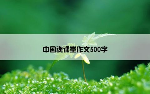 中国魂课堂作文500字