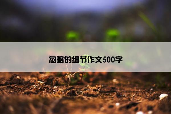 忽略的细节作文500字