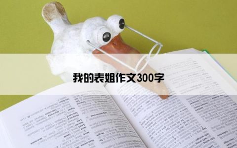 我的表姐作文300字