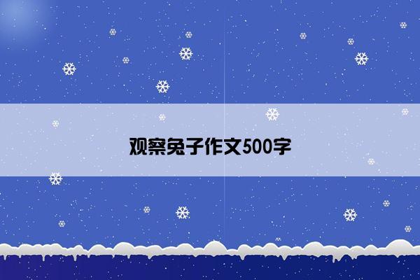 观察兔子作文500字