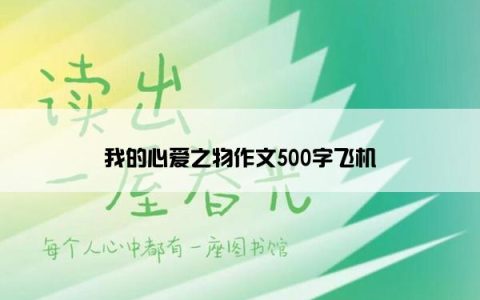 我的心爱之物作文500字飞机