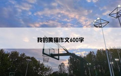 我的黄猫作文600字