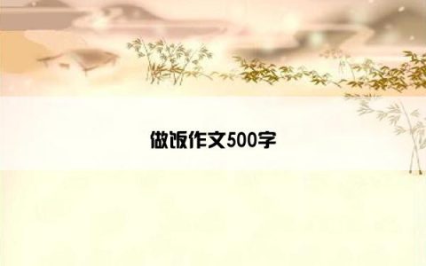 做饭作文500字