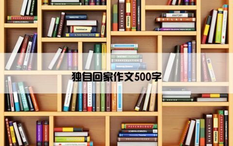 独自回家作文500字