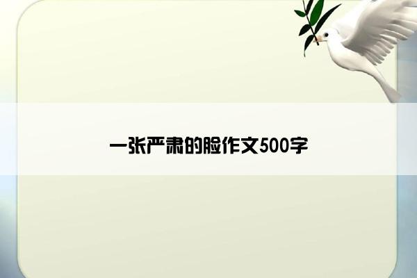 一张严肃的脸作文500字