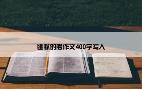 幽默的脸作文400字写人