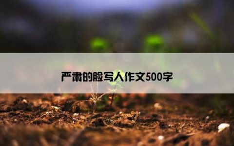 严肃的脸写人作文500字