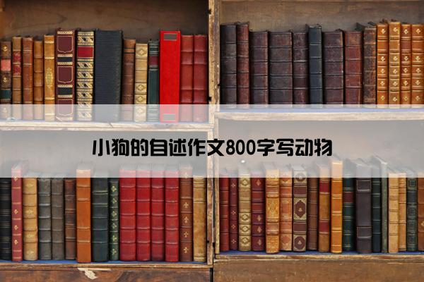 小狗的自述作文800字写动物