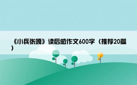《小兵张嘎》读后感作文600字（推荐20篇）