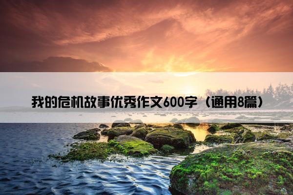 我的危机故事优秀作文600字（通用8篇）