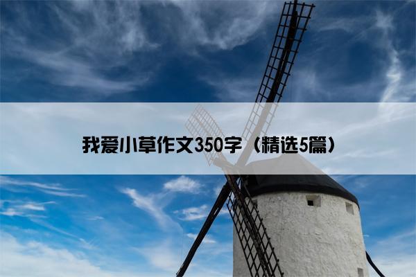 我爱小草作文350字（精选5篇）