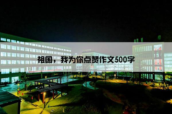 祖国，我为你点赞作文500字