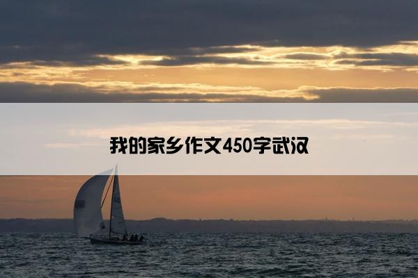 我的家乡作文450字武汉