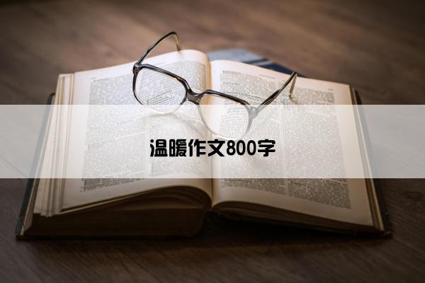 温暖作文800字