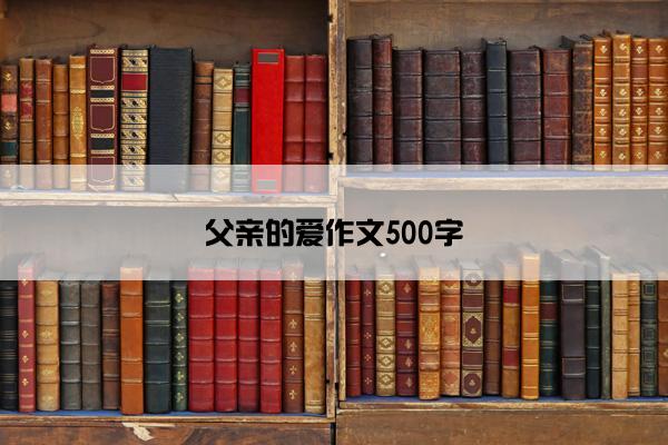 父亲的爱作文500字