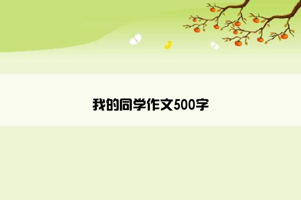 我的同学作文500字