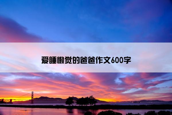 爱睡懒觉的爸爸作文600字