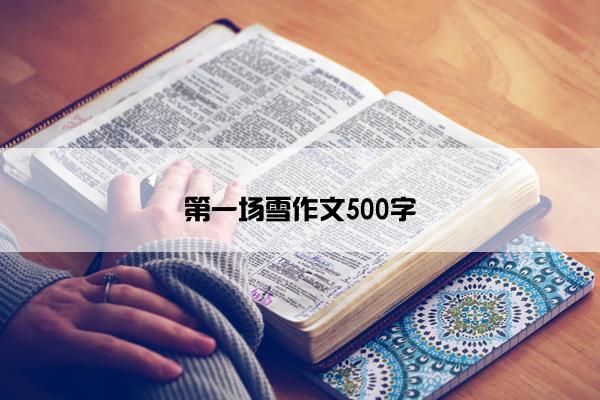 第一场雪作文500字