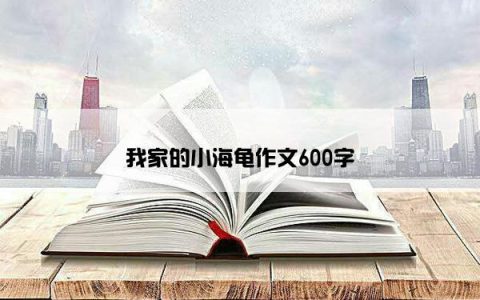 我家的小海龟作文600字