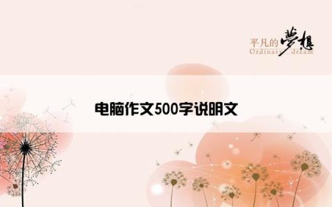 电脑作文500字说明文