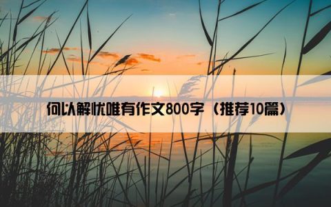 何以解忧唯有作文800字（推荐10篇）