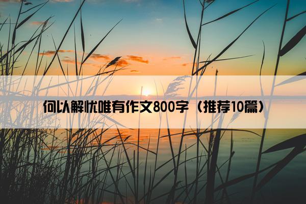 何以解忧唯有作文800字（推荐10篇）