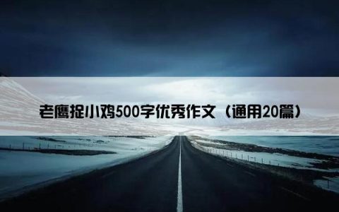 老鹰捉小鸡500字优秀作文（通用20篇）