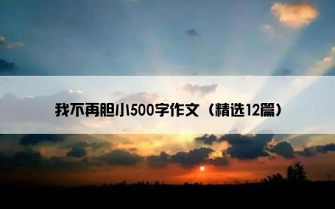 我不再胆小500字作文（精选12篇）