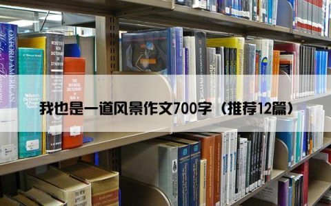 我也是一道风景作文700字（推荐12篇）