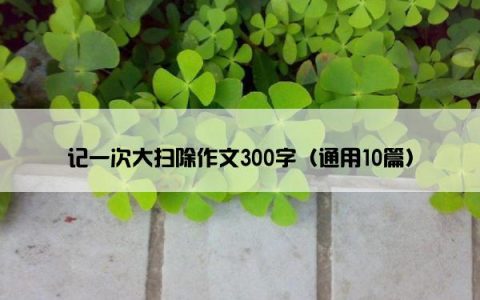 记一次大扫除作文300字（通用10篇）