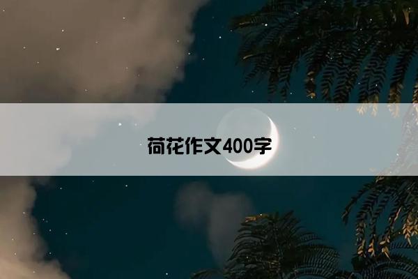 荷花作文400字